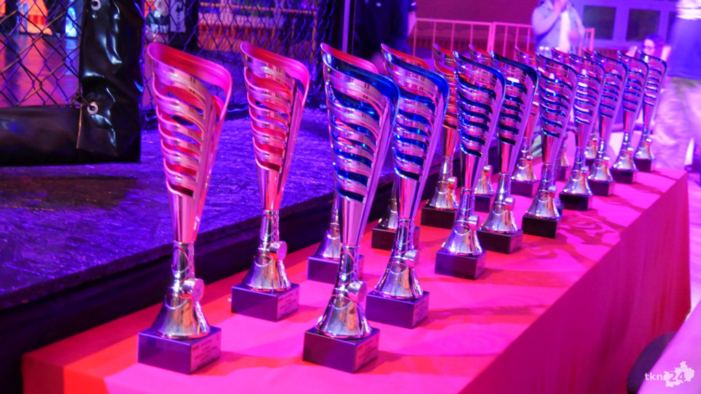 Wielkie emocje na gali MMA Wirtuoz Challenge Lucky 7 w Radoszycach! [fotogaleria]