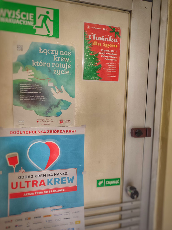 Oddali krew, dostali choinkę. Za nami akcja Lasów Państwowych [wideo, zdjęcia]