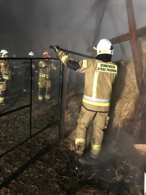Pożar stodoły w Czermnie w gminie Fałków. To podpalenie? [zdjęcia]