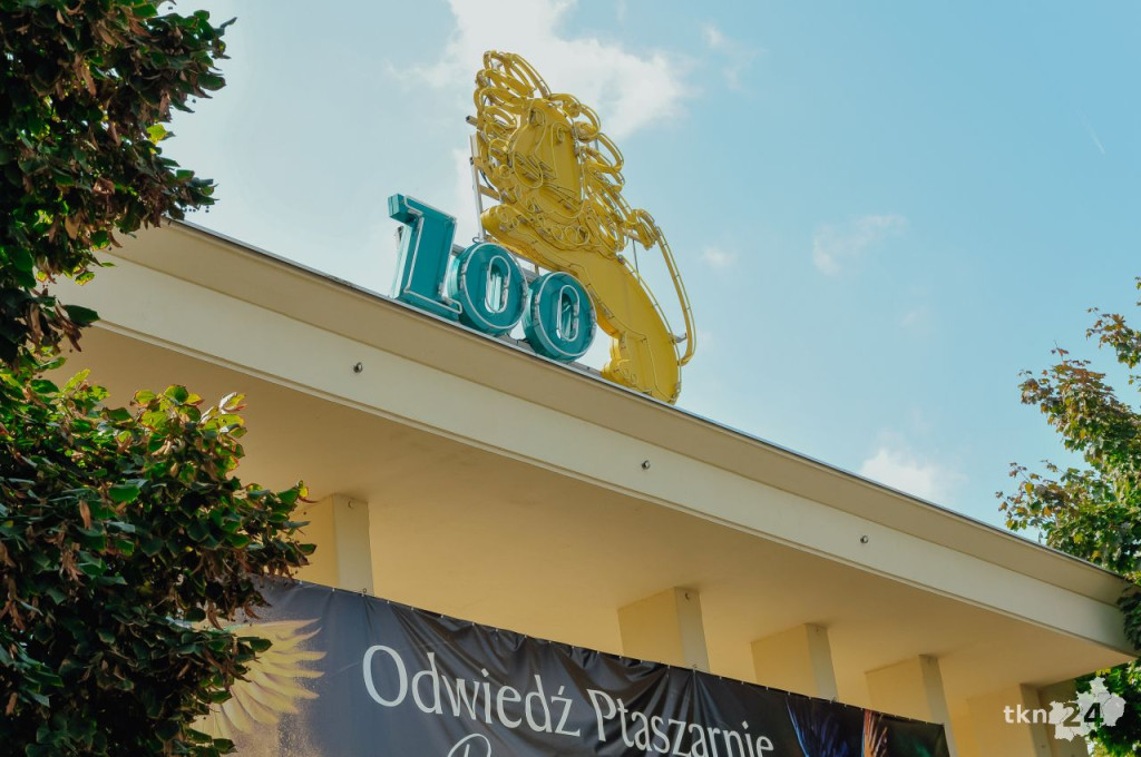 Wesołe może być życie staruszka! Tak działa Klub Seniora w gminie Radoszyce [wideo, zdjęcia]