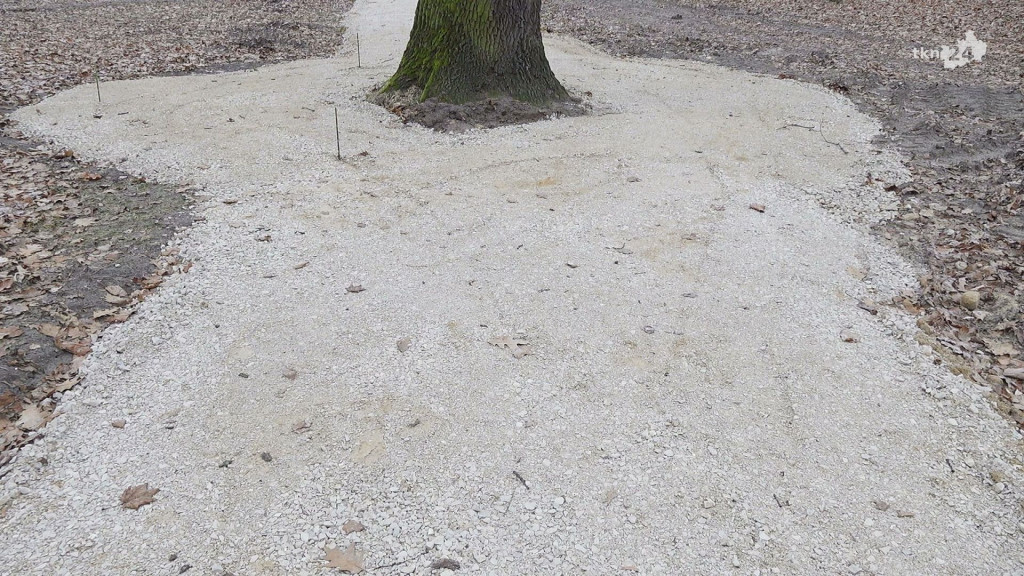 Końskie: Zmienia się park i jego otoczenie [wideo]