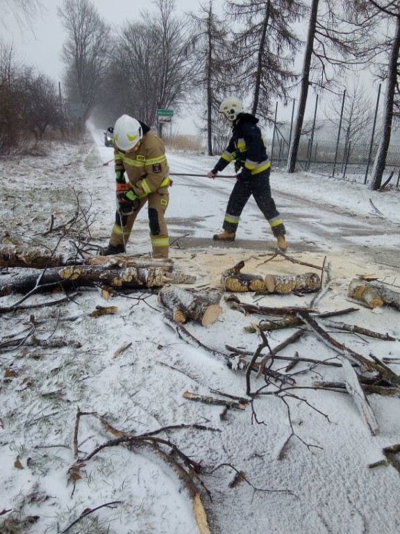 Silna wichura w powiecie koneckim. Kilkanaście interwencji strażaków [zdjęcia]