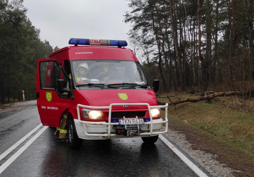 Silna wichura w powiecie koneckim. Kilkanaście interwencji strażaków [zdjęcia]