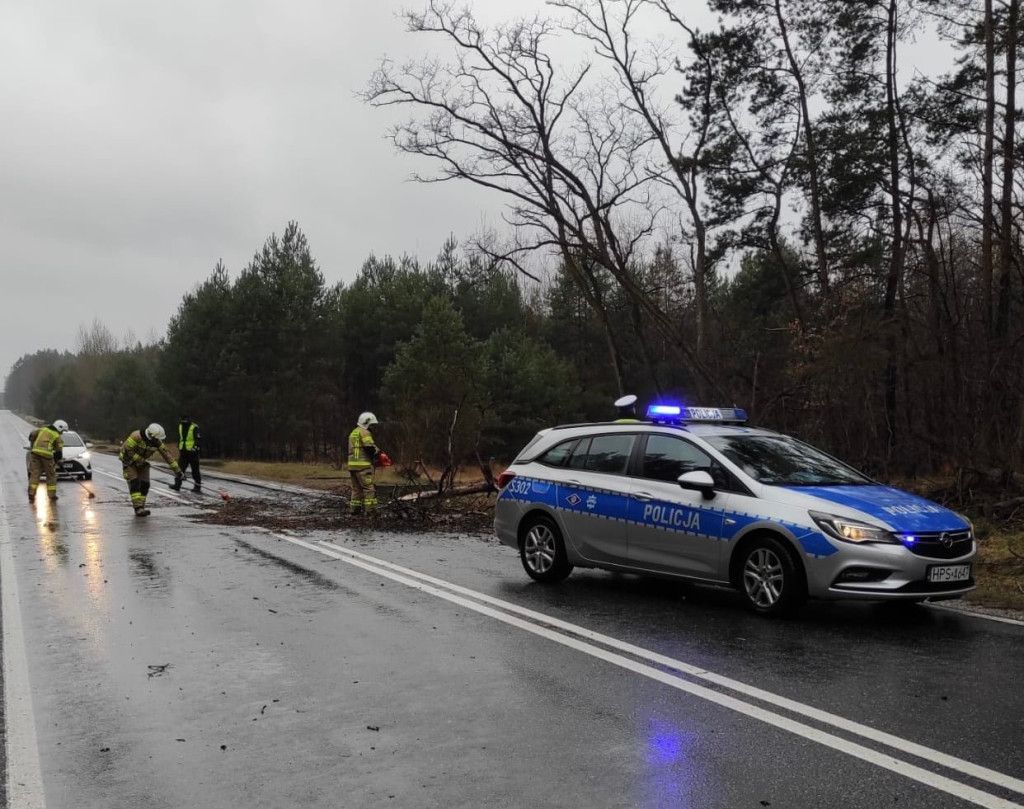 Silna wichura w powiecie koneckim. Kilkanaście interwencji strażaków [zdjęcia]