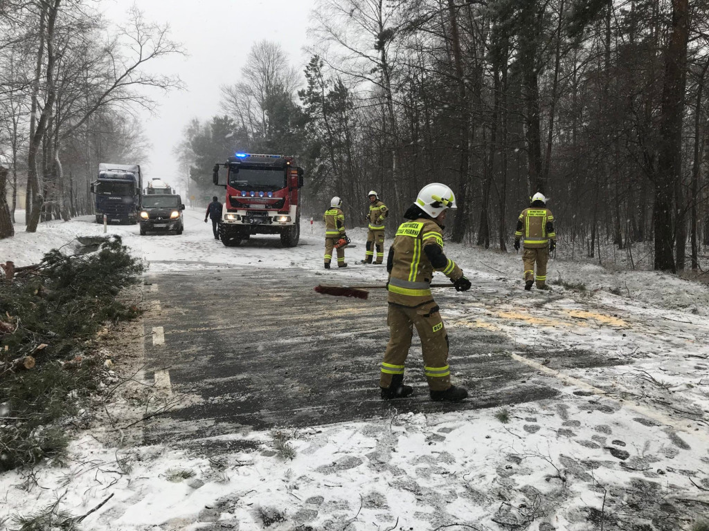 Silna wichura w powiecie koneckim. Kilkanaście interwencji strażaków [zdjęcia]