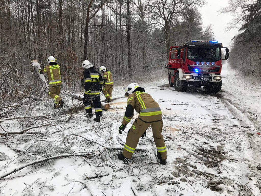 Silna wichura w powiecie koneckim. Kilkanaście interwencji strażaków [zdjęcia]