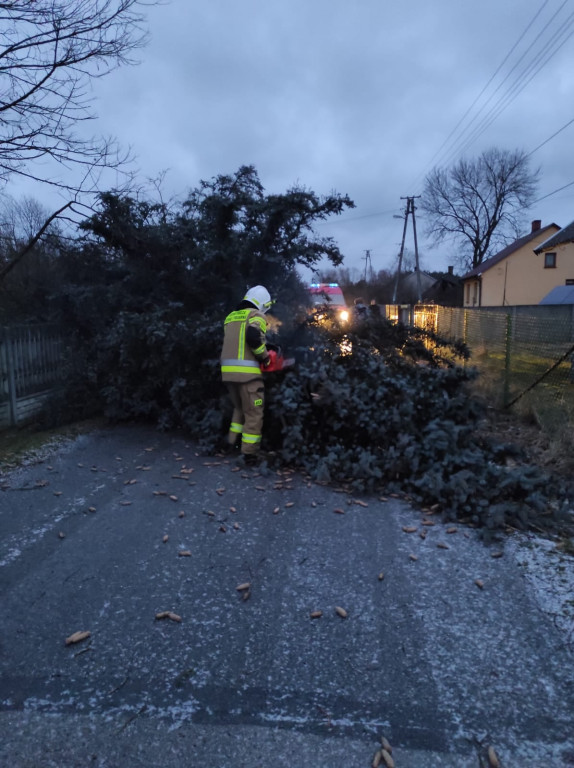 Silne wichury w powiecie koneckim. Kolejne 12 interwencji strażaków [zdjęcia]