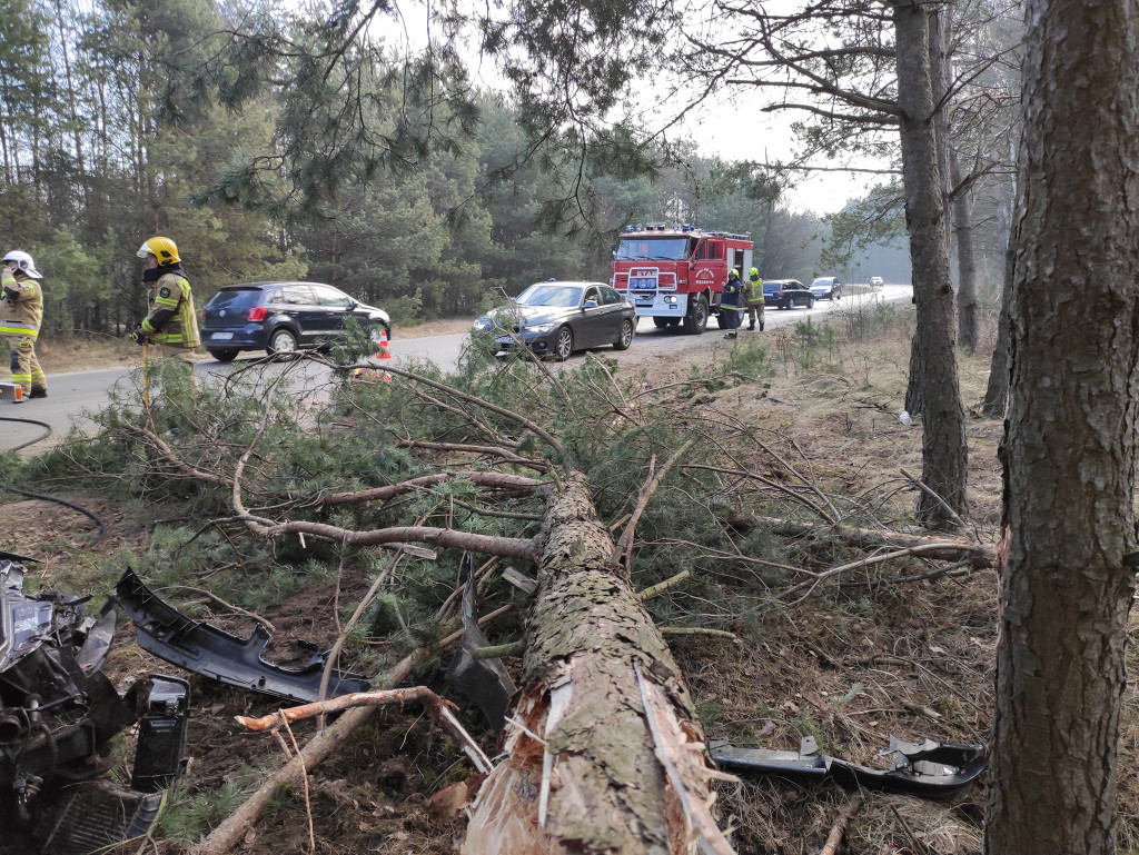 Wypadek w Mościskach Małych. Kierująca w szpitalu [zdjęcia]