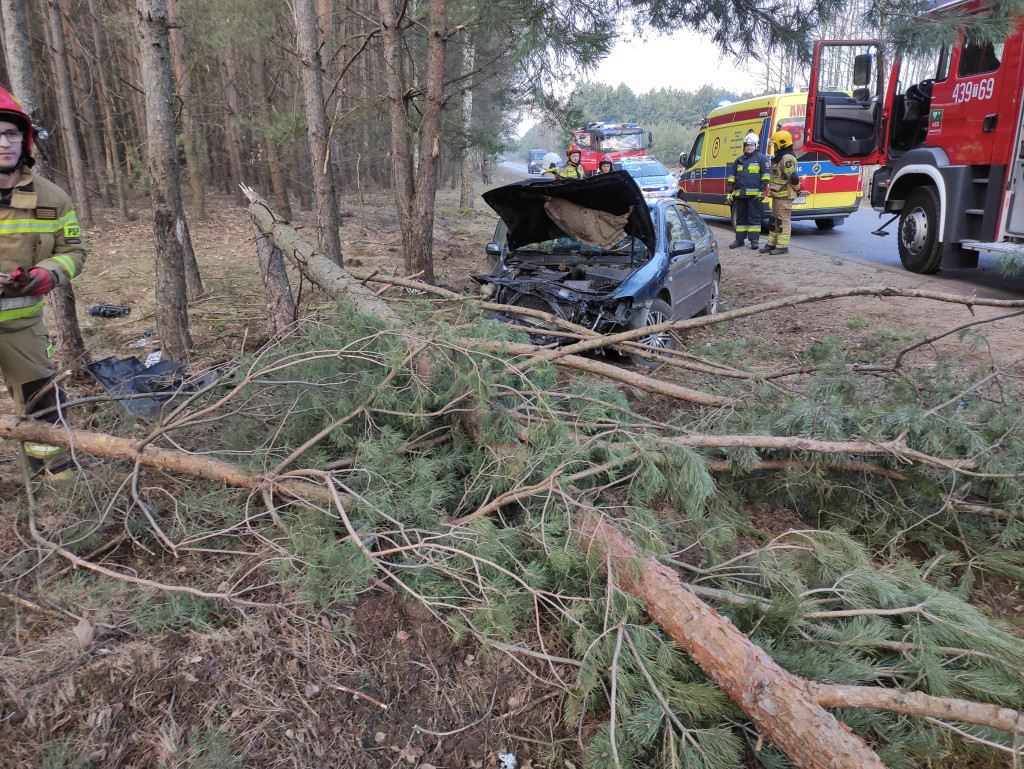 Wypadek w Mościskach Małych. Kierująca w szpitalu [zdjęcia]