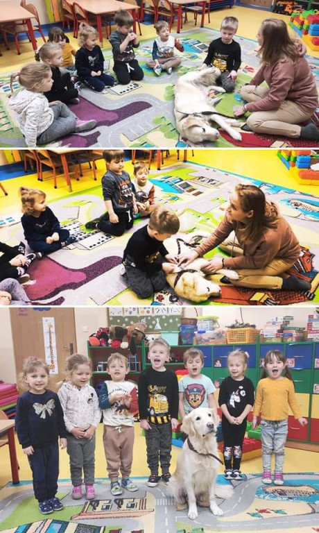 Przedszkole Bajkowa Kraina: znakomite warunki do rozwoju, edukacji i zabawy! [wideo, zdjęcia]