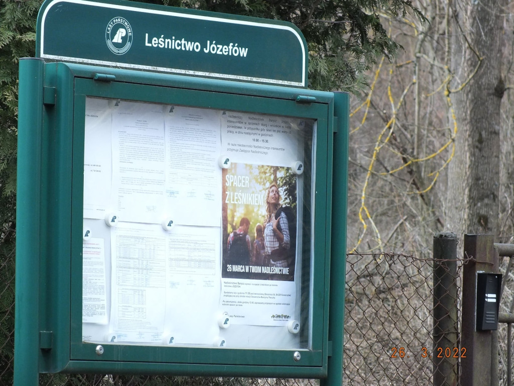 Odbyli pierwszy `Spacer z leśnikiem` [zdjęcia]