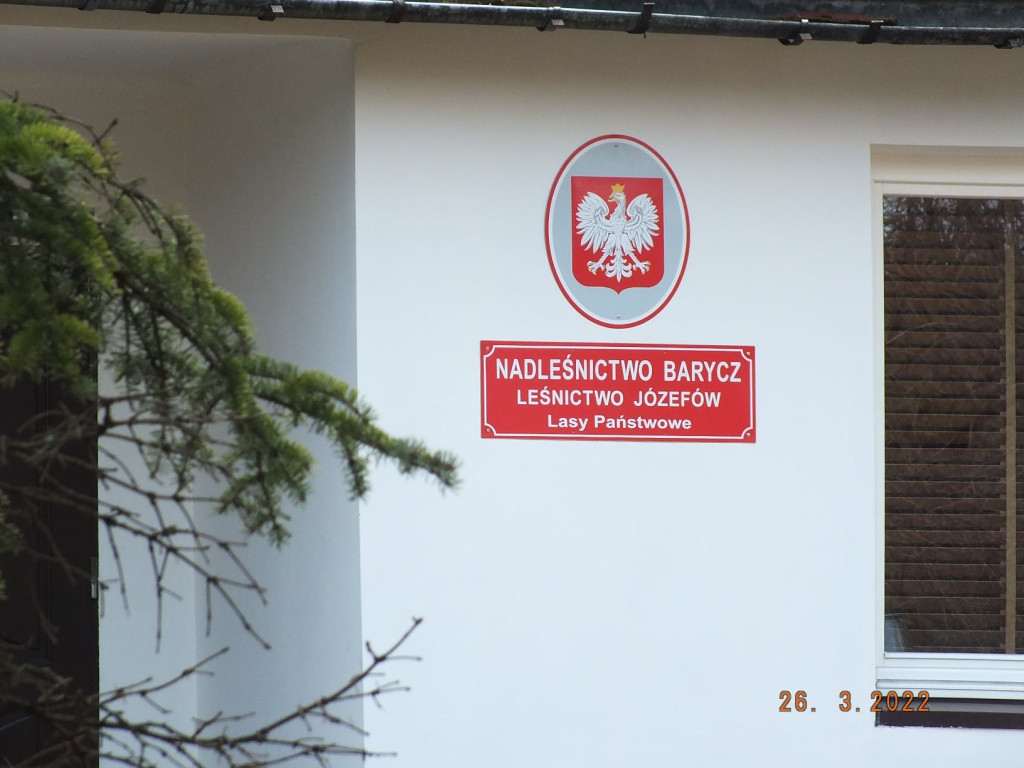 Odbyli pierwszy `Spacer z leśnikiem` [zdjęcia]