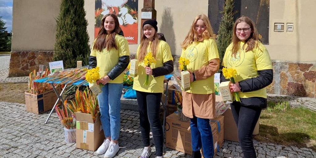 Rozdawali pachnące żonkile! Niedzielna kwesta wolontariuszy z Hospicjum Sykulskiego [zdjęcia]