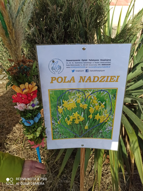 Rozdawali pachnące żonkile! Niedzielna kwesta wolontariuszy z Hospicjum Sykulskiego [zdjęcia]