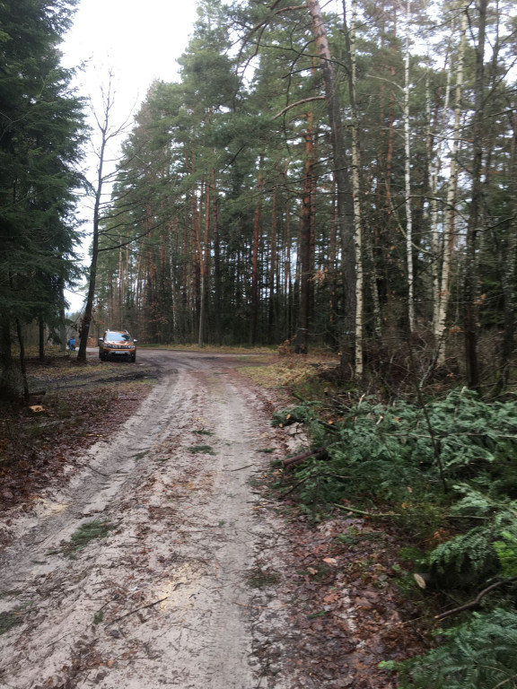 Nieokiełznana wycinka lasów w gminie Stąporków? Sprawdzamy to [zdjęcia]