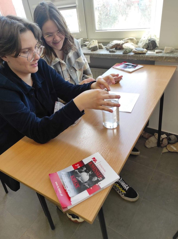 Podsumowanie projektu 