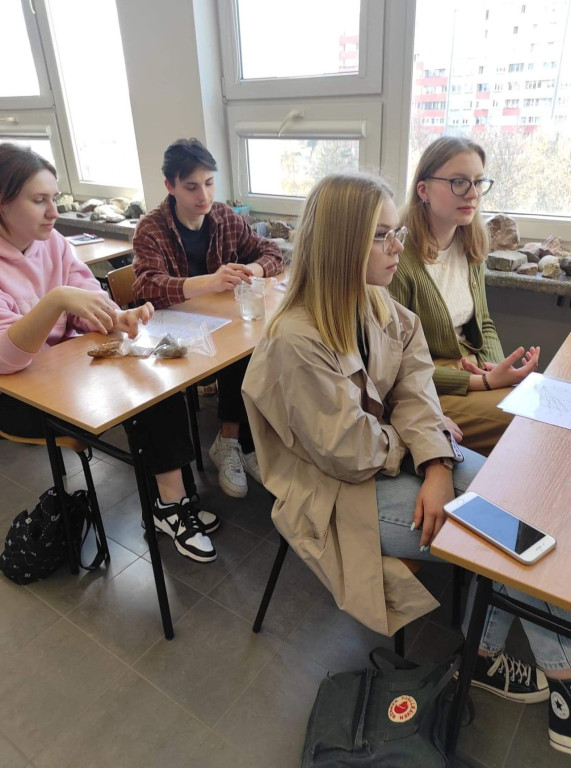 Podsumowanie projektu 