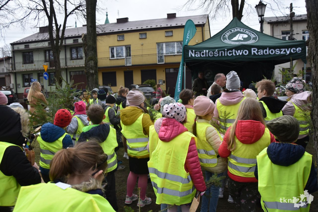 1500 drzewek na Dzień Ziemi w Radoszycach [wideo, zdjęcia]
