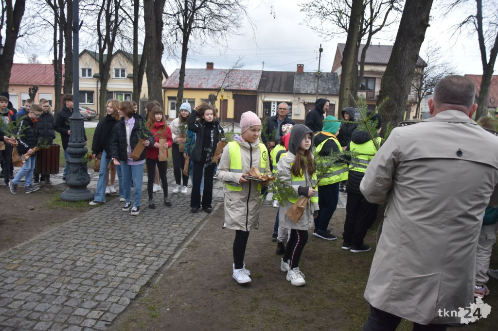 1500 drzewek na Dzień Ziemi w Radoszycach [wideo, zdjęcia]