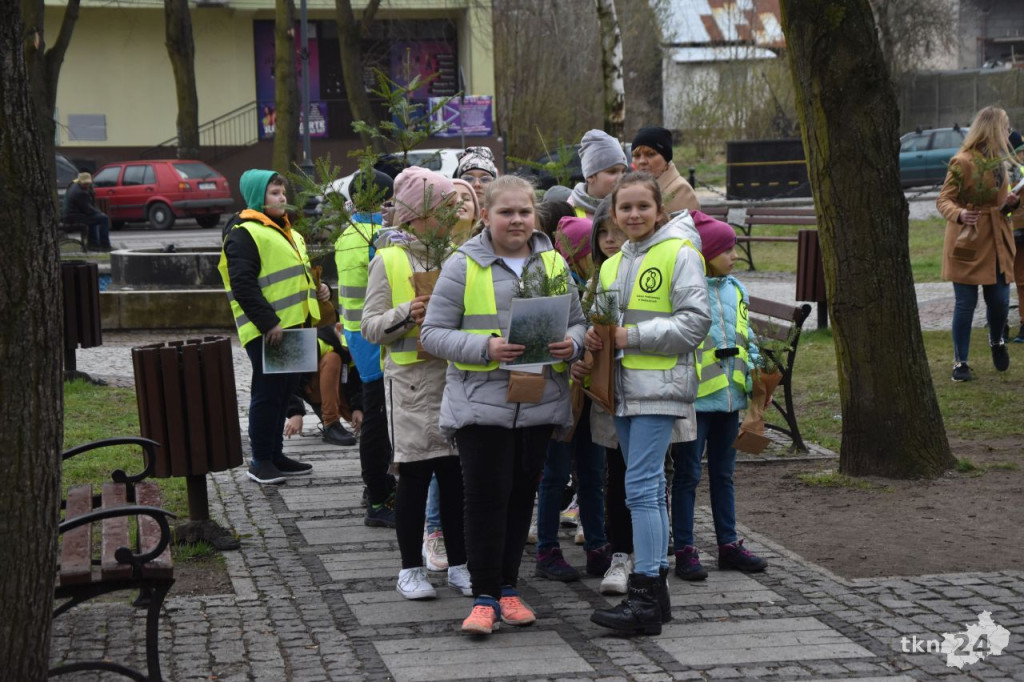 1500 drzewek na Dzień Ziemi w Radoszycach [wideo, zdjęcia]