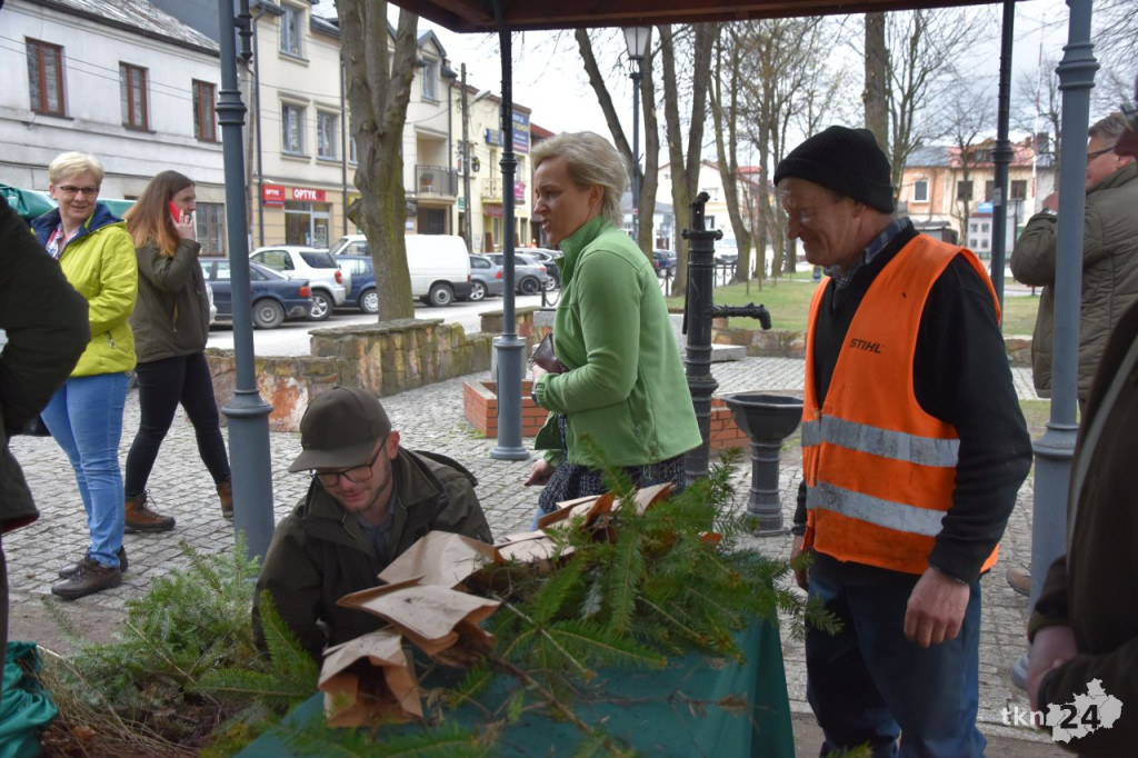 1500 drzewek na Dzień Ziemi w Radoszycach [wideo, zdjęcia]
