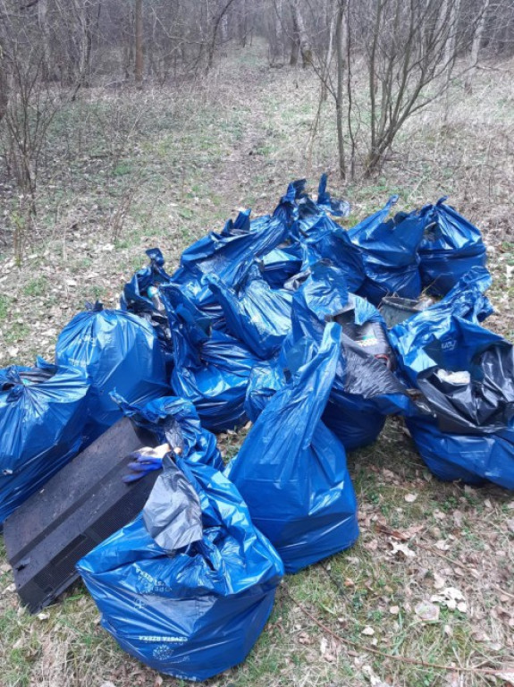 W Czarnieckiej Górze sprzątali rzekę Czarną. Pomogli goście z Ukrainy [zdjęcia]