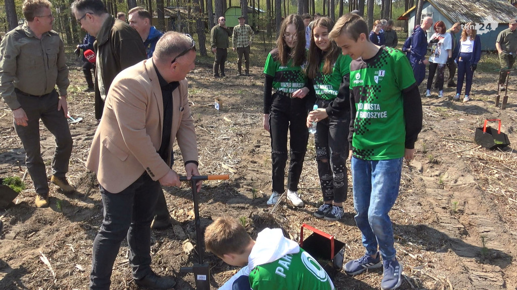Łączą nas drzewa. 2 tysiące sosen i lip zasadzono w leśnictwie Krzyżówki [wideo, zdjęcia]