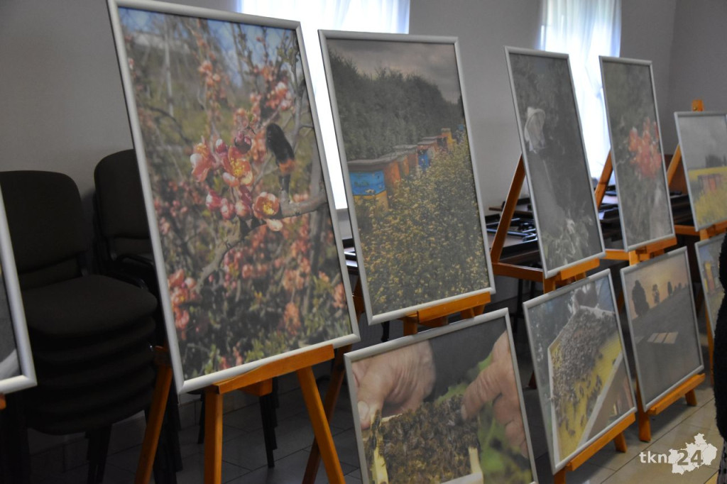 Pierwszy Konkurs Fotograficzny `Moja Pasieka` [wideo, zdjęcia]