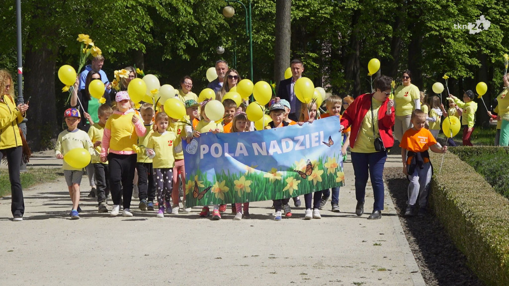 Uświadamiali o opiece hospicyjnej. Za nami I Marsz Żonkili w Końskich [wideo, zdjęcia]