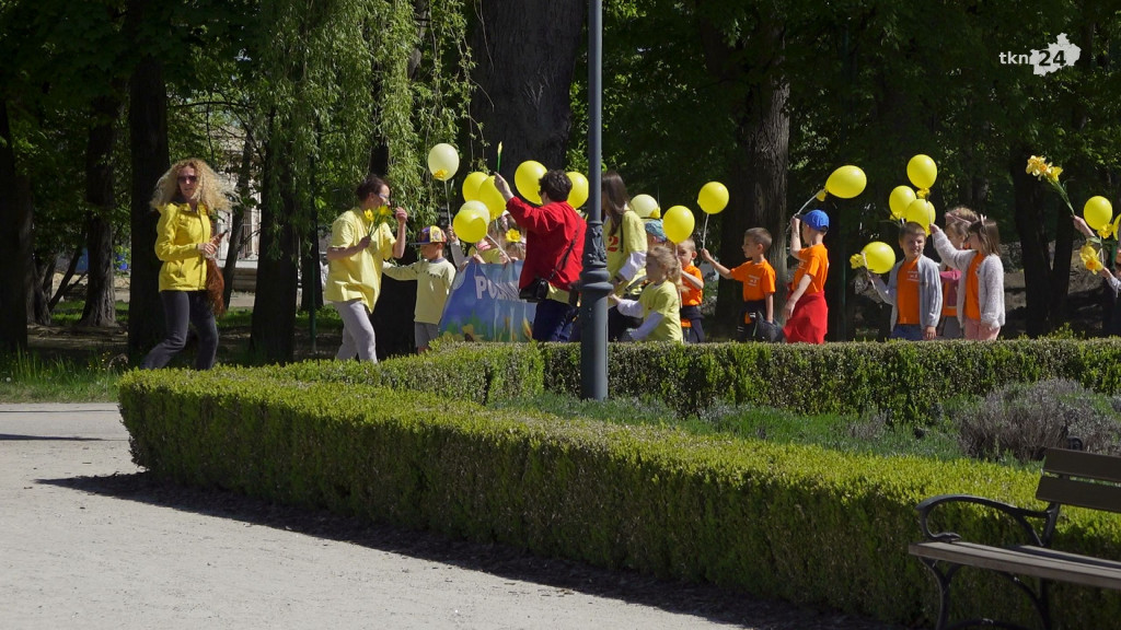 Uświadamiali o opiece hospicyjnej. Za nami I Marsz Żonkili w Końskich [wideo, zdjęcia]