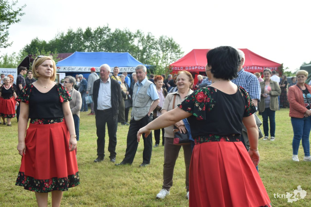 `Tradycja kołem gospodyń się toczy` w Końskich. III Przegląd KGW [wideo, zdjęcia]