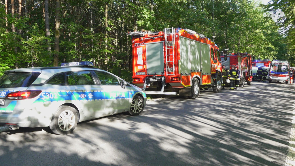 Śmierć 19-latka na drodze z Końskich do Wąsosza