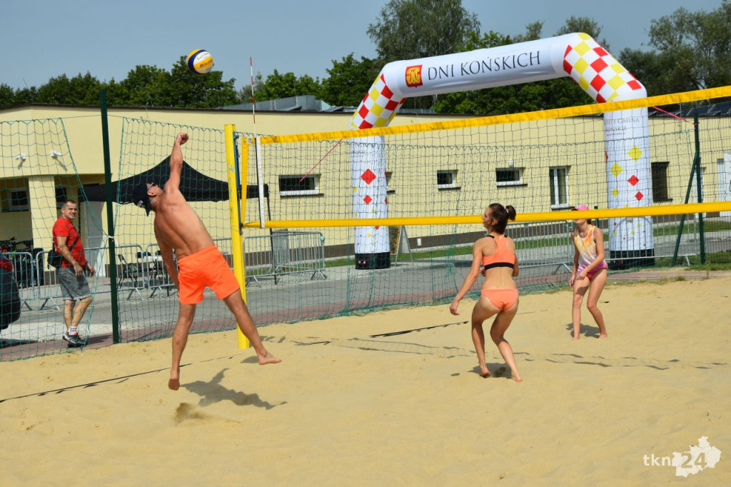 Dni Końskich 2022. Afromental, turnieje sportowe, wystawa aut [wideo, zdjęcia]