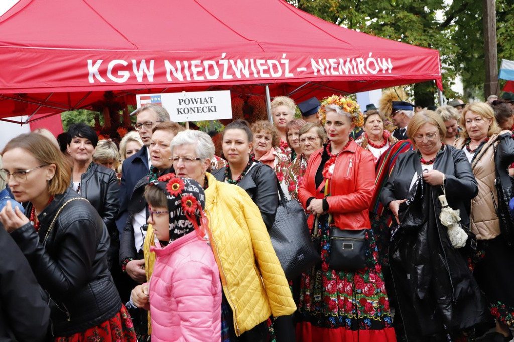 Konecki laur wyróżniony na wojewódzkich dożynkach w Bogorii