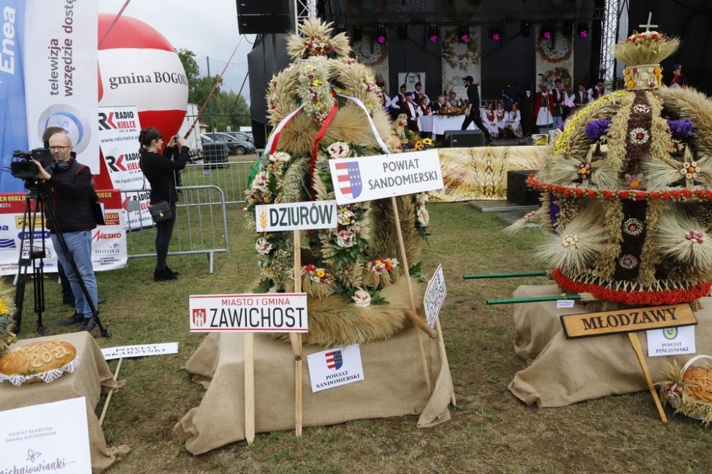Konecki laur wyróżniony na wojewódzkich dożynkach w Bogorii