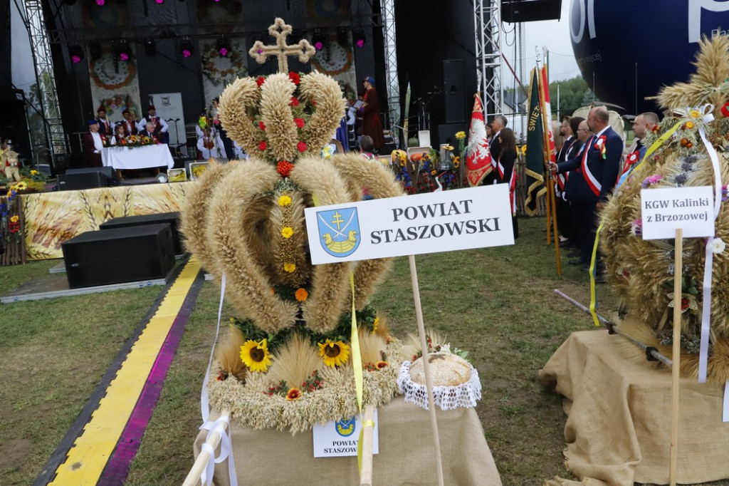Konecki laur wyróżniony na wojewódzkich dożynkach w Bogorii