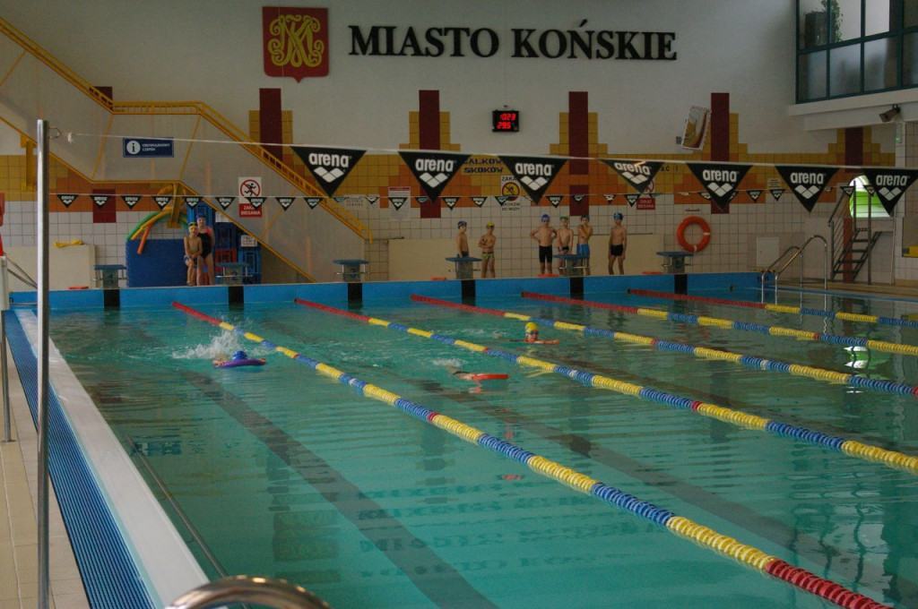 IV Mistrzostwa Końskich w pływaniu [fotorelacja]