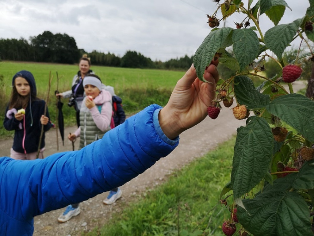 `Jeszcze lato nie odeszło` z Gowarczowa [zdjęcia]