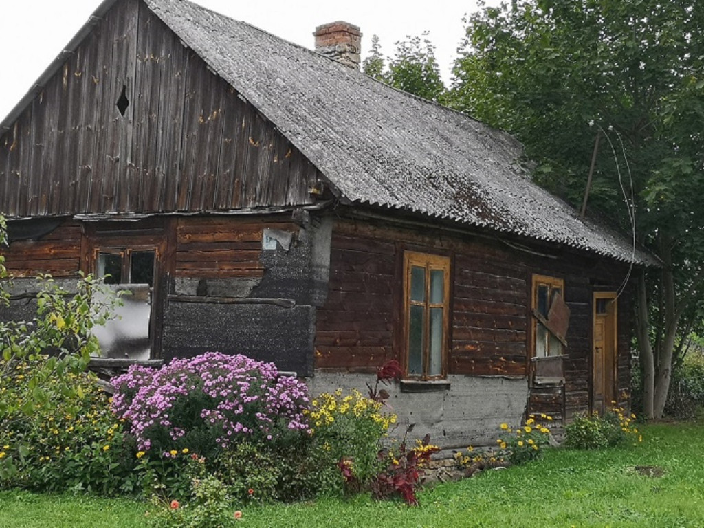 `Jeszcze lato nie odeszło` z Gowarczowa [zdjęcia]