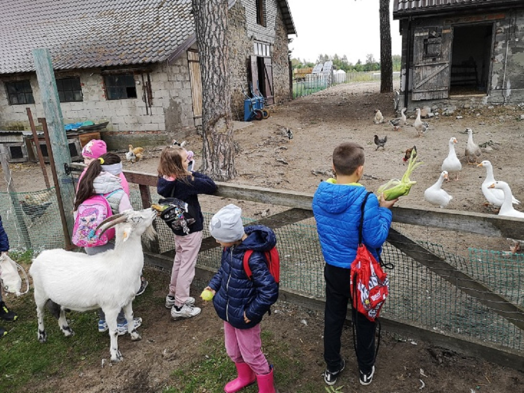 `Jeszcze lato nie odeszło` z Gowarczowa [zdjęcia]