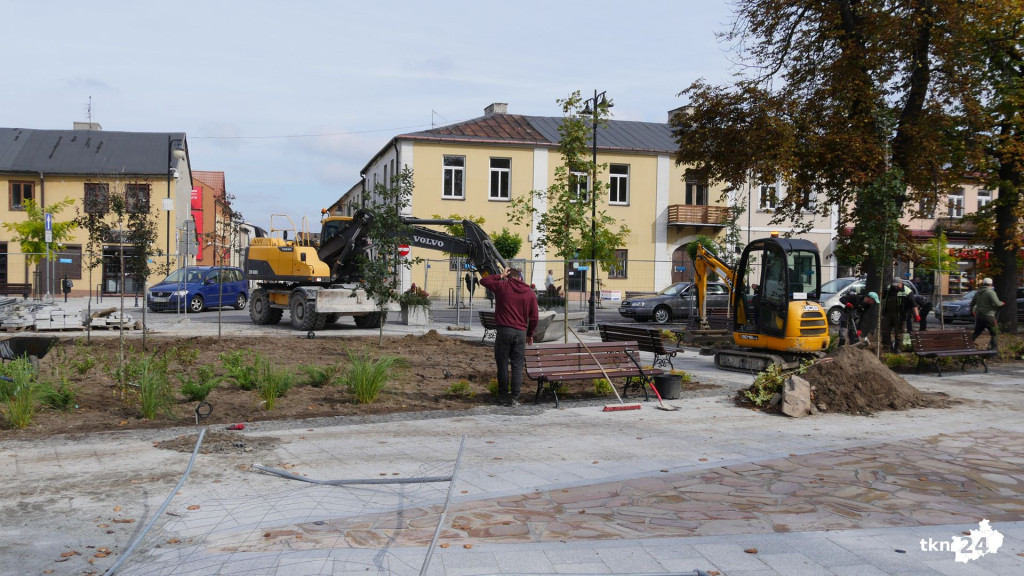 Na rynku praca wre. Pojawiają się nasadzenia! [wideo, zdjęcia]