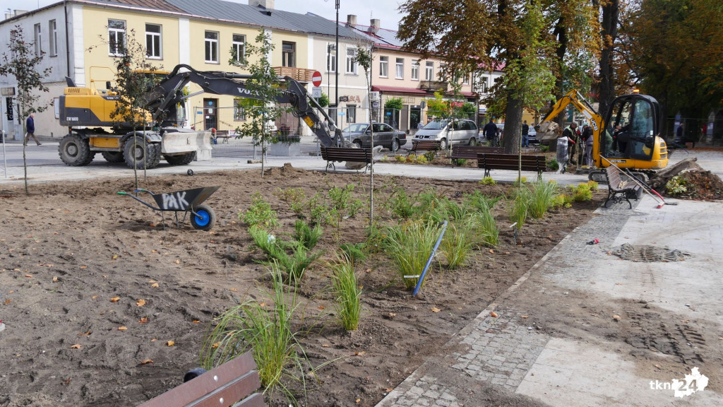 Na rynku praca wre. Pojawiają się nasadzenia! [wideo, zdjęcia]