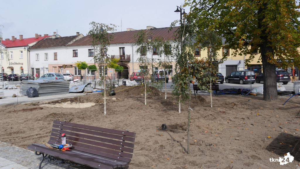 Na rynku praca wre. Pojawiają się nasadzenia! [wideo, zdjęcia]