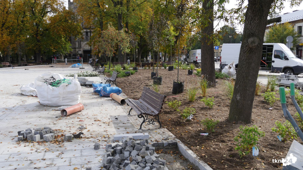 Na rynku praca wre. Pojawiają się nasadzenia! [wideo, zdjęcia]
