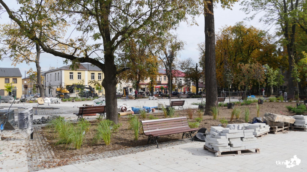Na rynku praca wre. Pojawiają się nasadzenia! [wideo, zdjęcia]