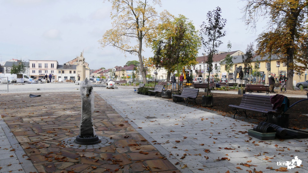 Na rynku praca wre. Pojawiają się nasadzenia! [wideo, zdjęcia]