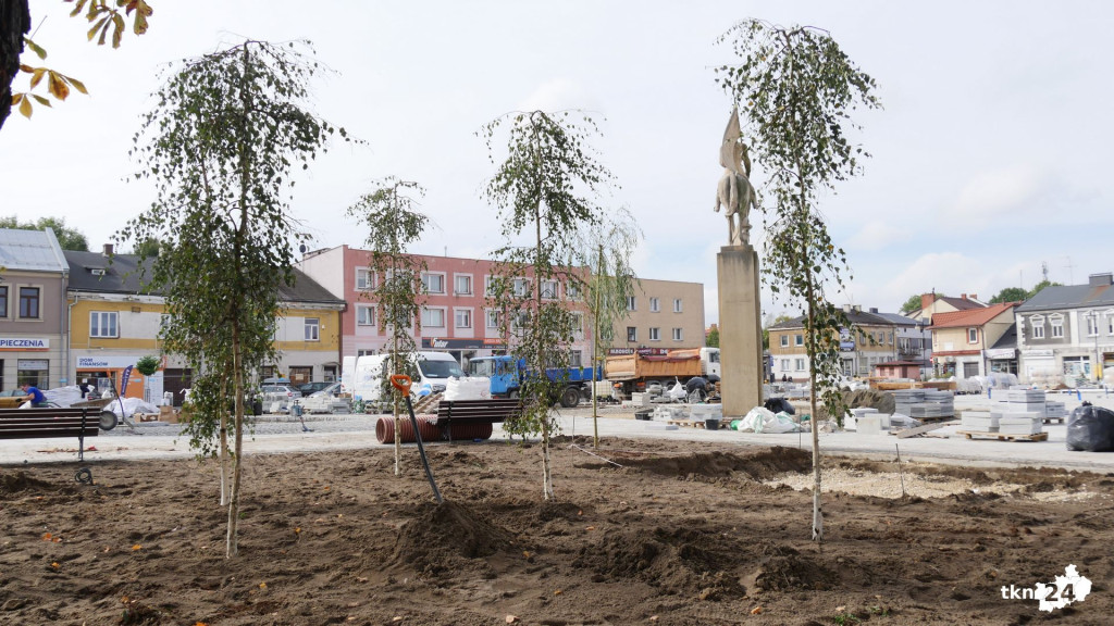 Na rynku praca wre. Pojawiają się nasadzenia! [wideo, zdjęcia]