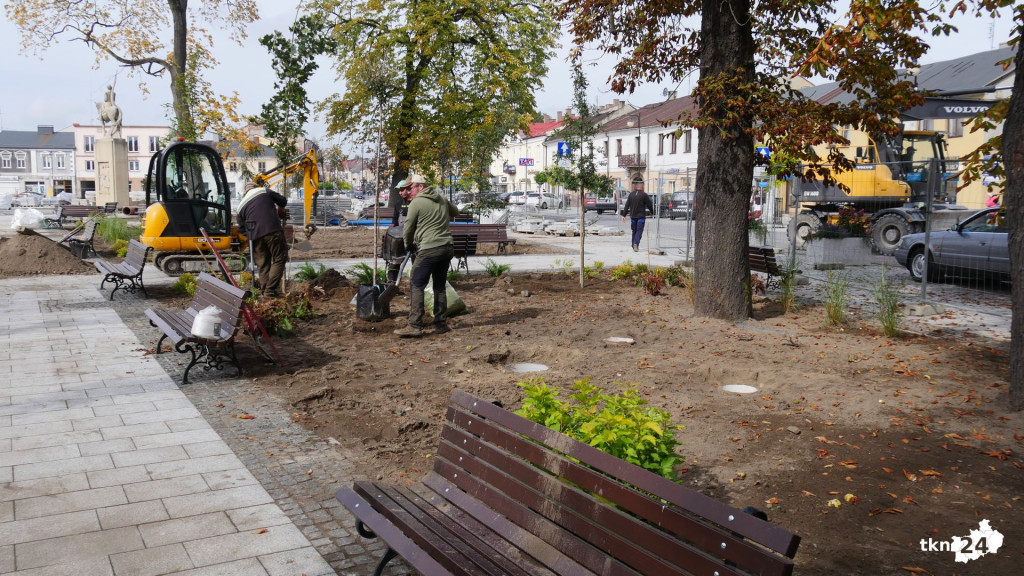 Na rynku praca wre. Pojawiają się nasadzenia! [wideo, zdjęcia]