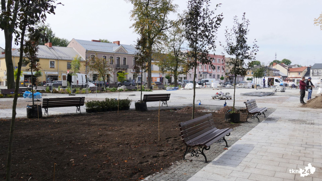 Na rynku praca wre. Pojawiają się nasadzenia! [wideo, zdjęcia]