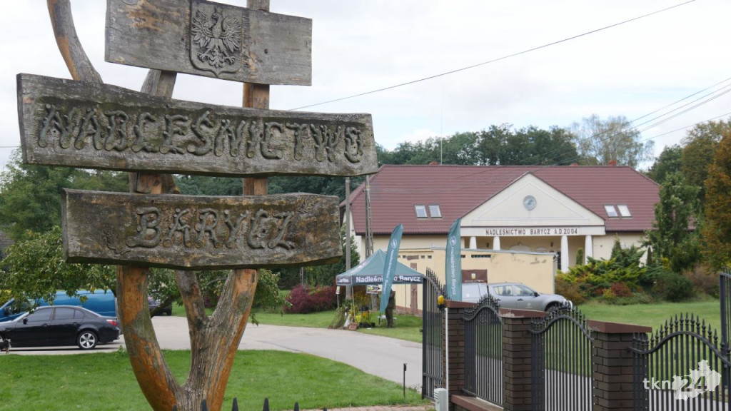 #sadziMy. Darmowe drzewka w naszych nadleśnictwach [zdjęcia]